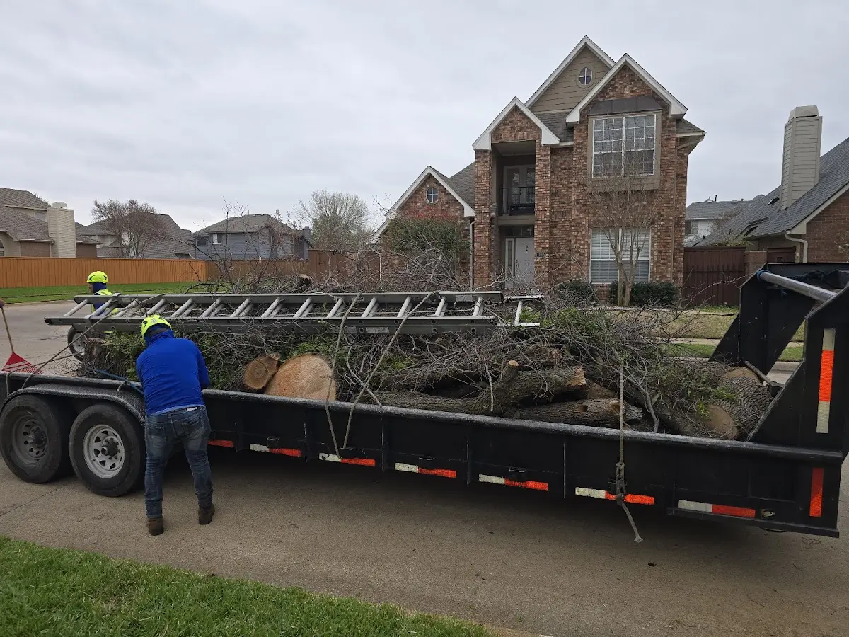 Expert Tree Removal with proper safety equipment in Lillian